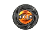 Edge ED204