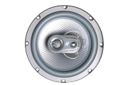 FLI integrator 6
