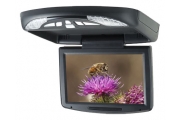 Monitor 9"